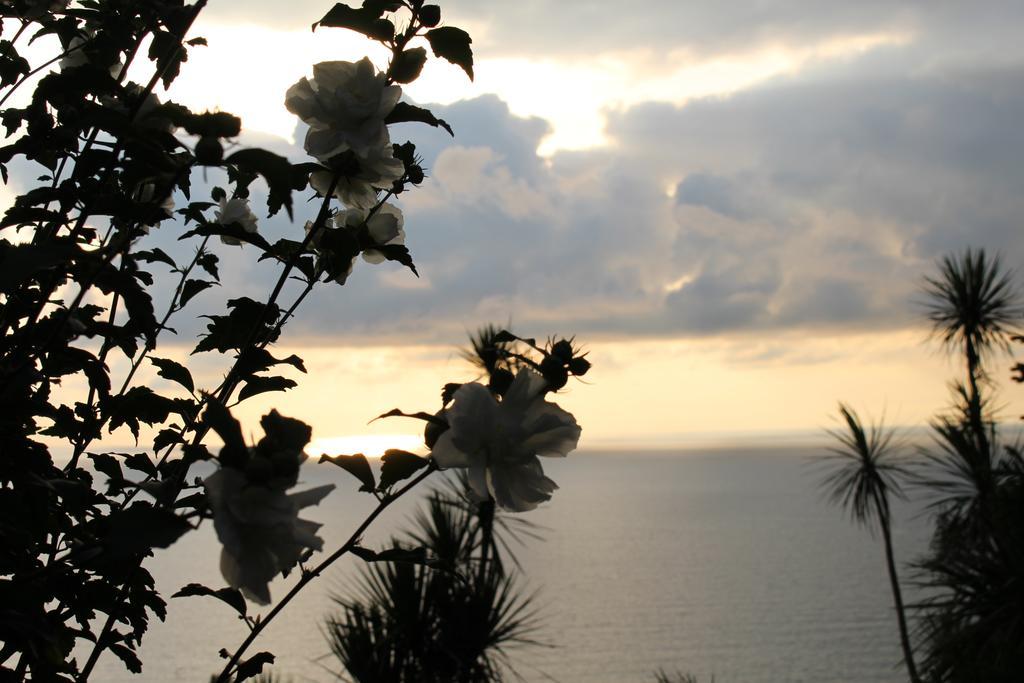 Hotel Holiday House Green Cape Batumi Mtsvane Kontskhi Exterior foto